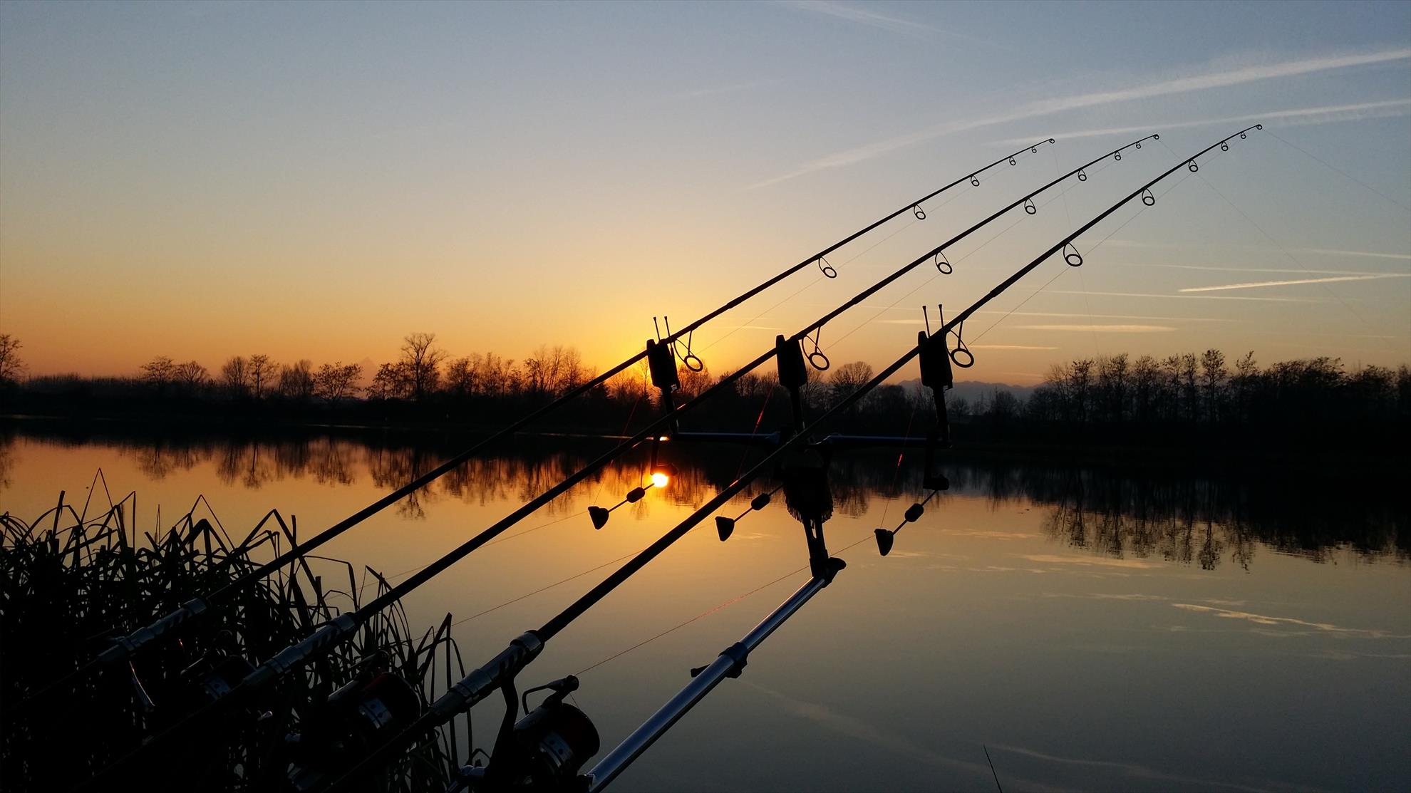 Isola 2015  - 20150106164404.jpg